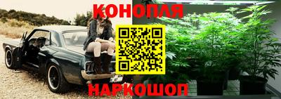 дживик Жуковский