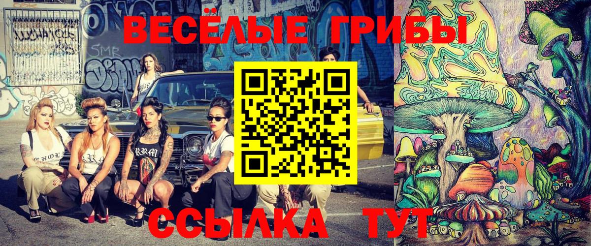 Шарыпово  Галлюциногенные грибы Psilocybe  Вход с VPN 